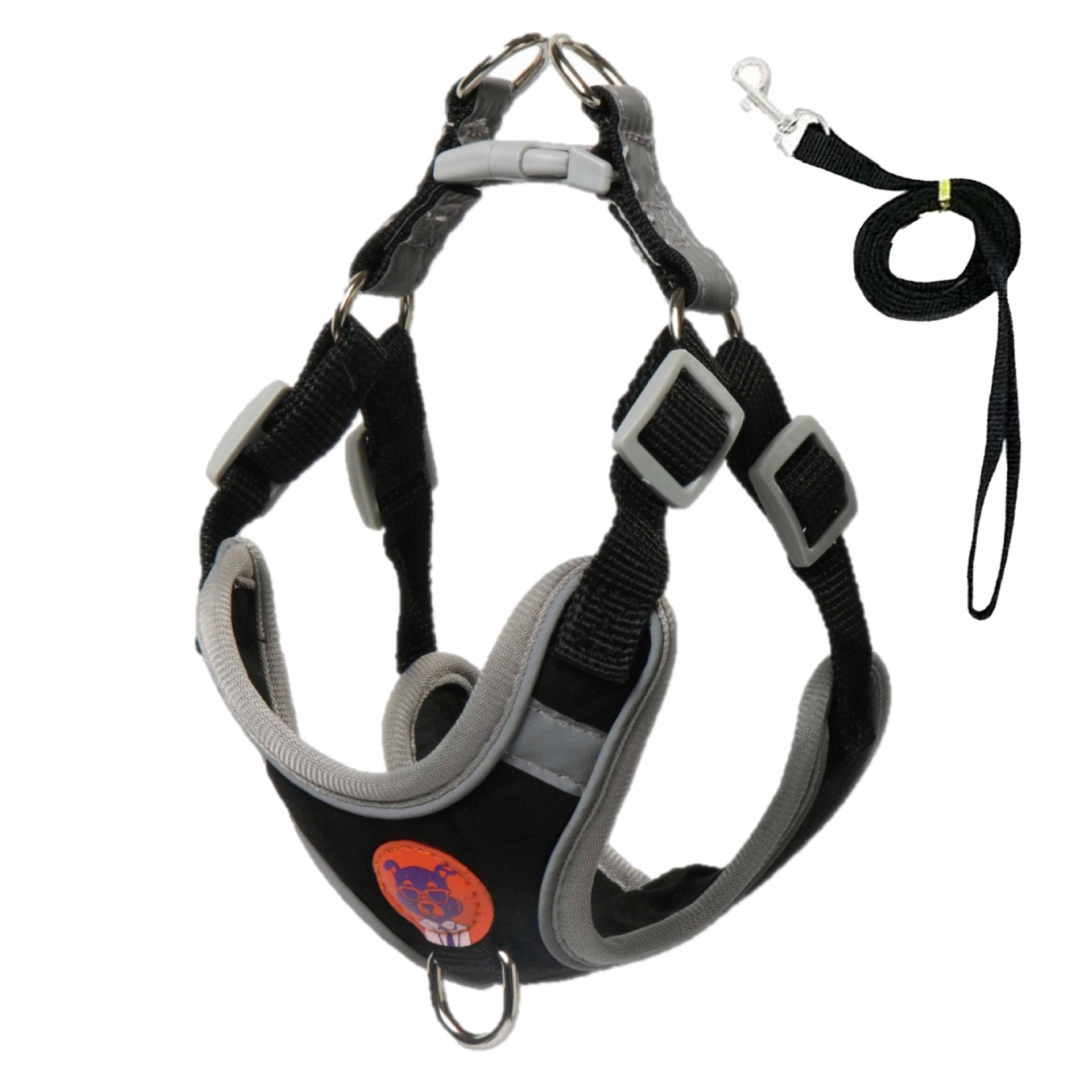 Pawfys Adjustable Reflective Dog Harness and Leash Set - Pawfectly Yours