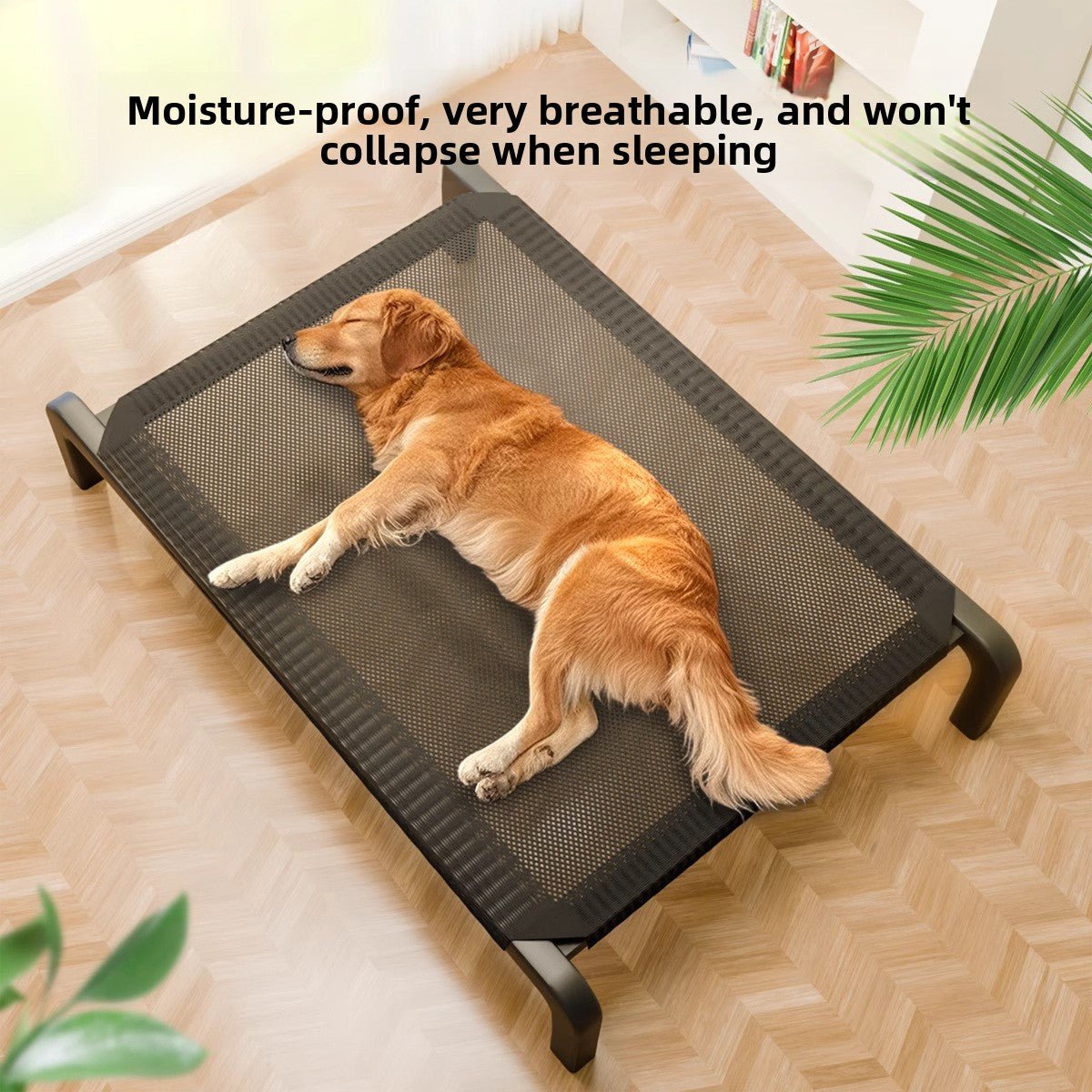 Pawfys Portable Dog Bed with Mesh Design - Pawfectly Yours