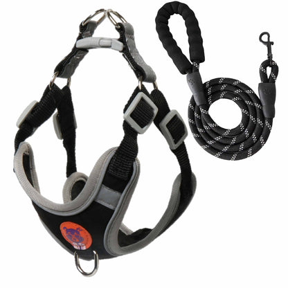 Pawfys Adjustable Reflective Dog Harness and Leash Set - Pawfectly Yours