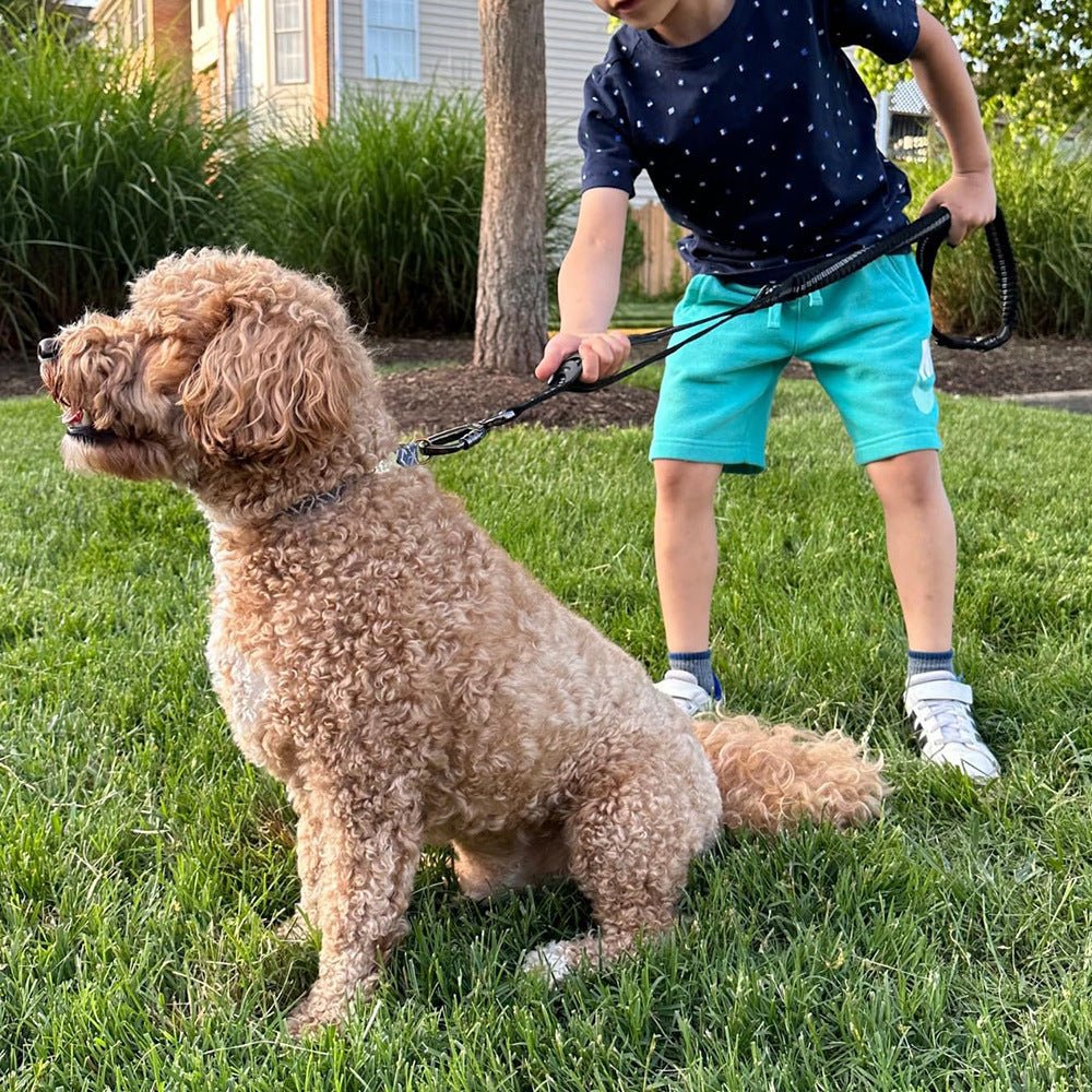 Elastic Dog Leash For All Sized Pets - Pawfectly Yours