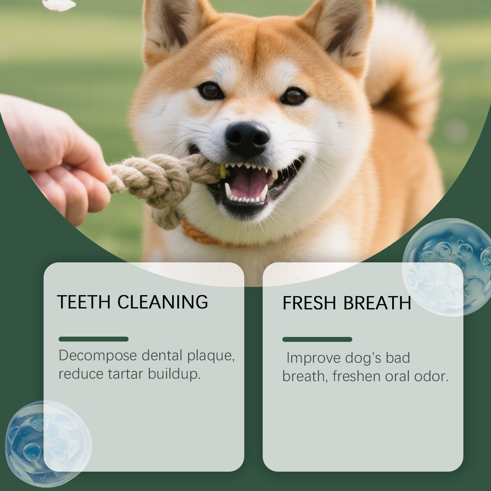 Pet Teeth Cleaning Powder for Cats and Dogs - Pawfectly Yours